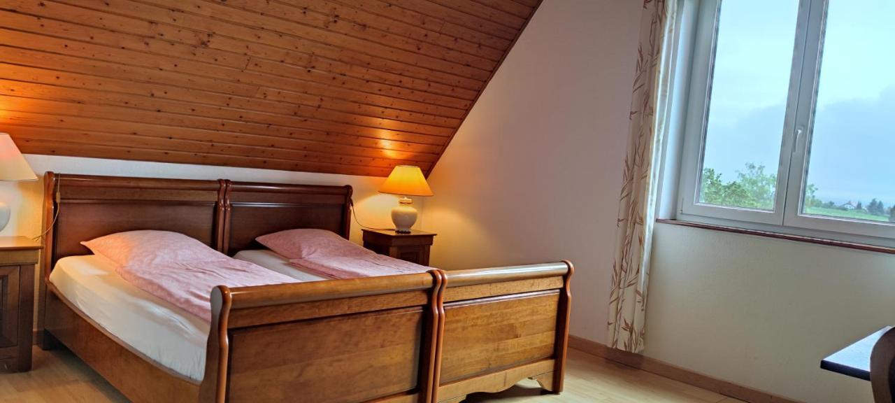 Chambre D'Hotes De La Tulipe Bed & Breakfast Mittelbergheim Luaran gambar