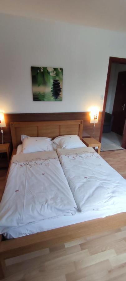 Chambre D'Hotes De La Tulipe Bed & Breakfast Mittelbergheim Luaran gambar